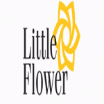 little_flower little_flower