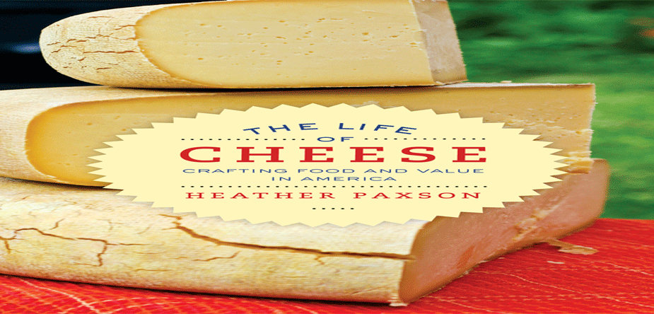 life_of_cheese