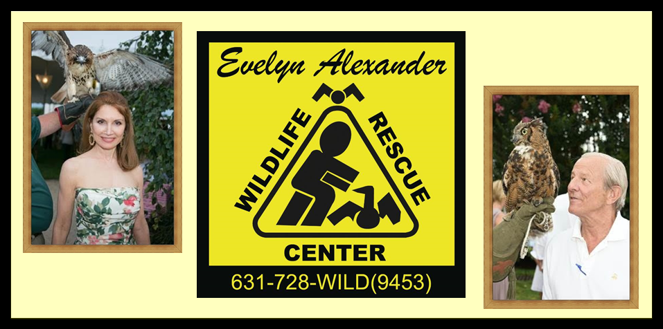 Evelyn Alexander Wildlife Rescue Center